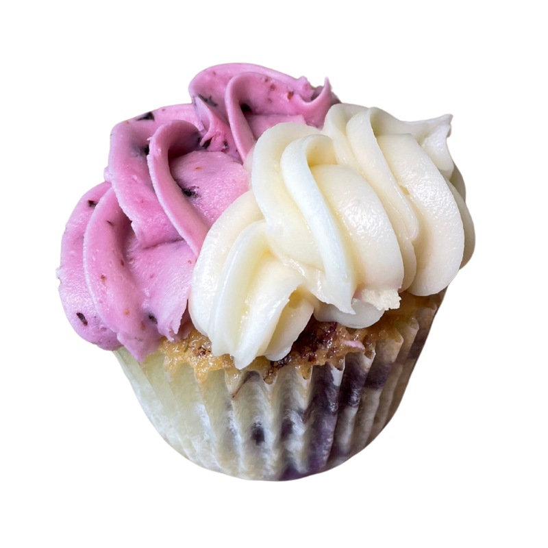 Blueberry Cheesecake Cupcake